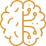Brain Health and Optimization